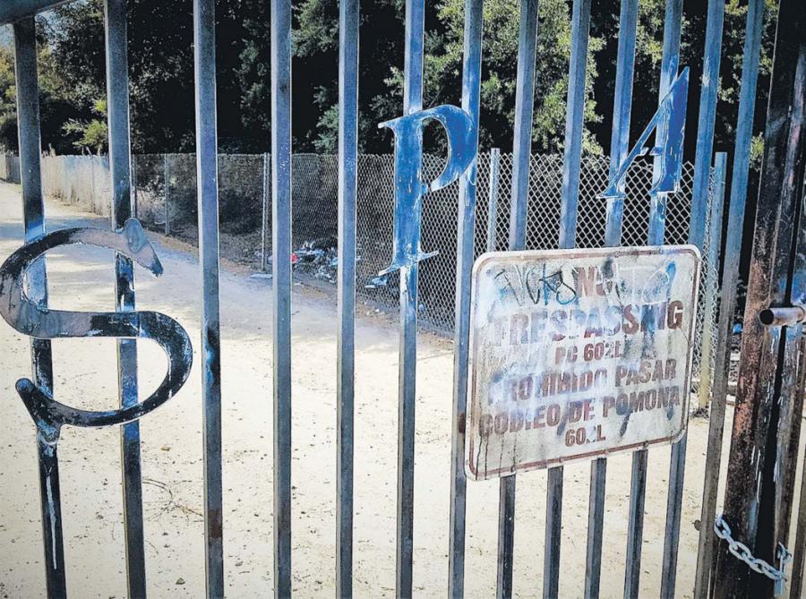 Click here to enlarge image