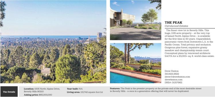 Click here to enlarge image